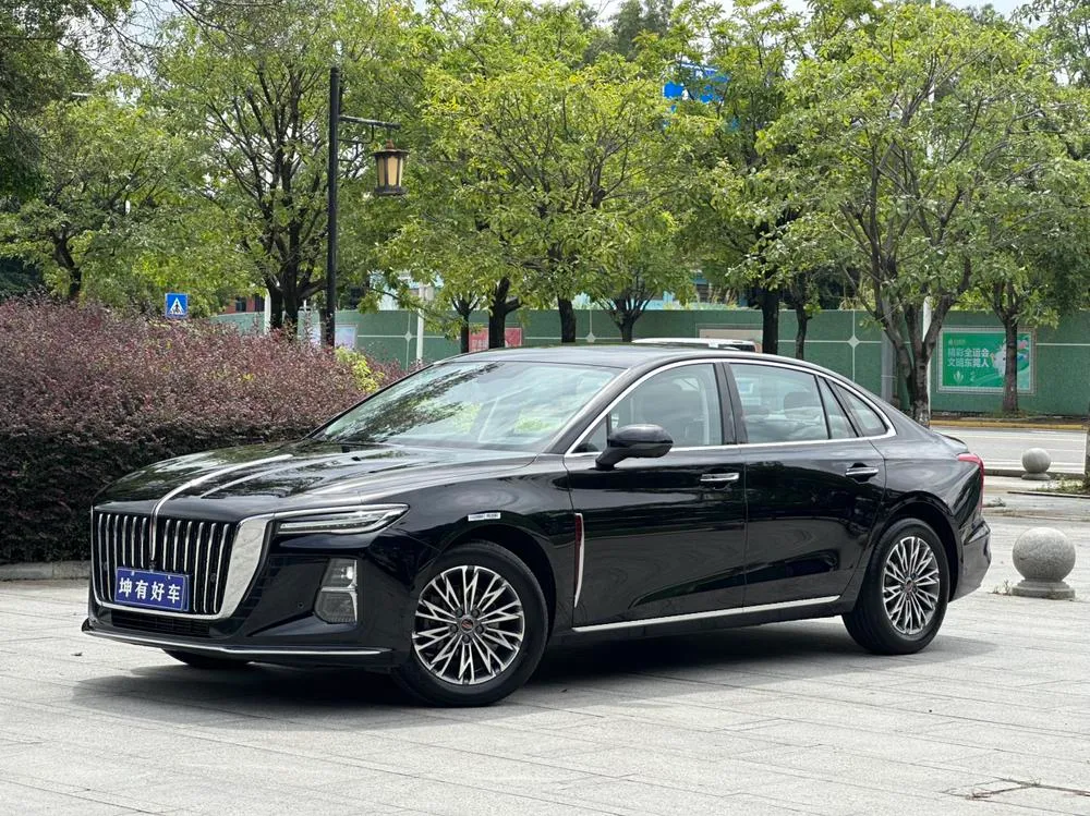 Hongqi H5, 2025
