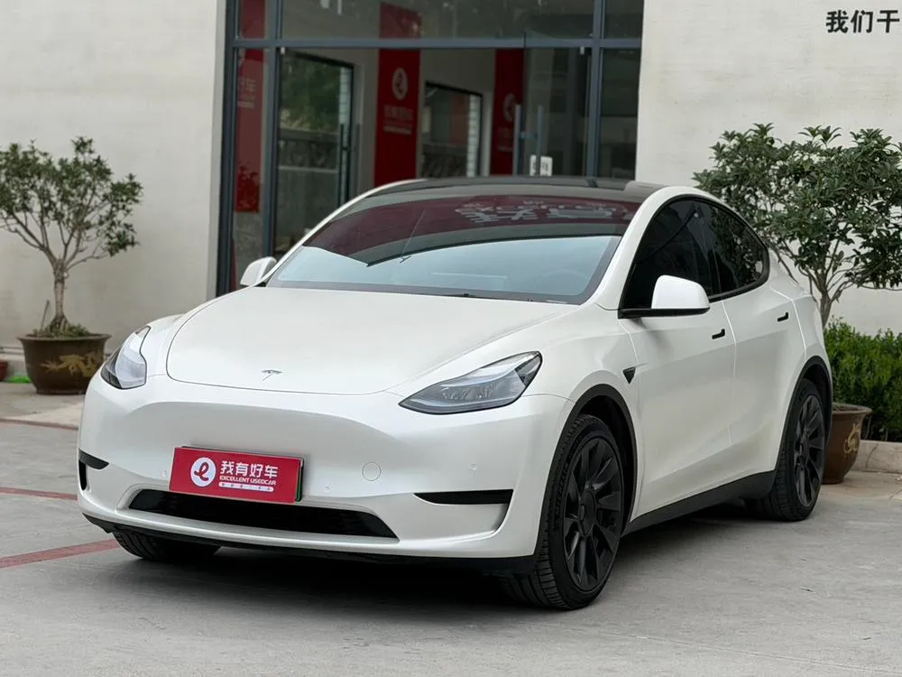 Tesla Model Y Edition, 2022 — фото 1