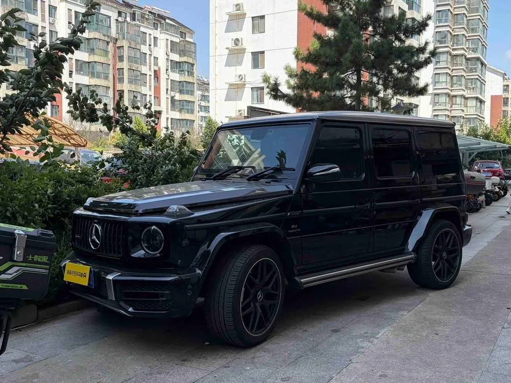 Mercedes-Benz G-Class, 2010