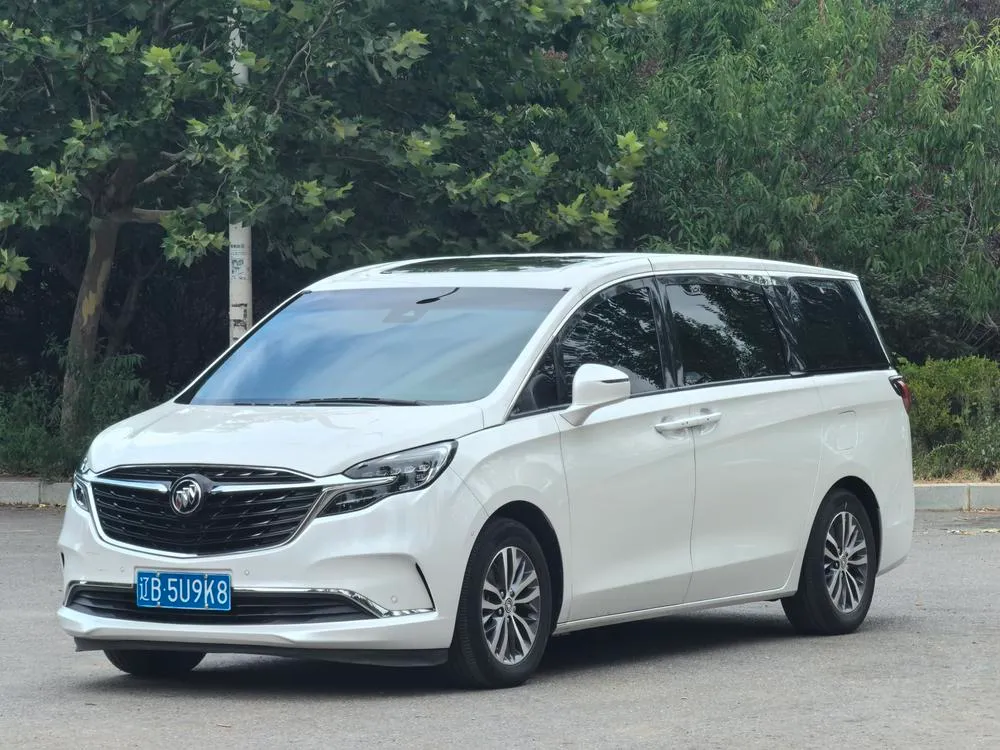 Buick GL8 ES Premium 653T Prestige Version, 2022 — фото 1