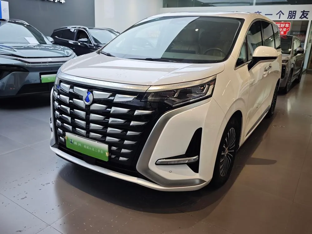 Denza D9 DM, 2024