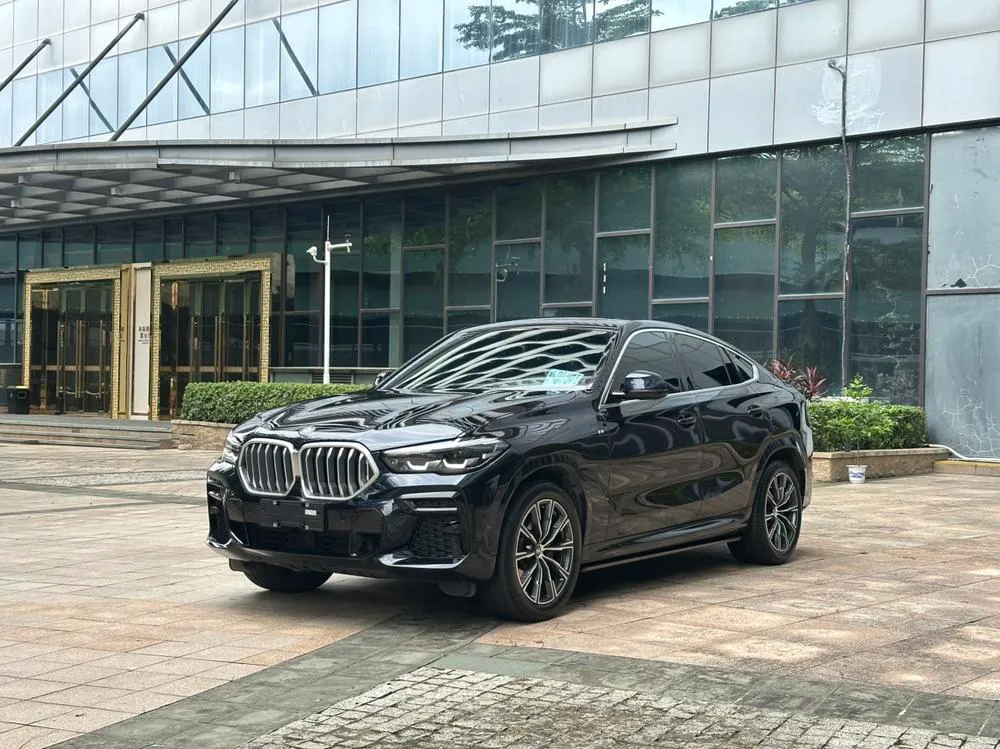 BMW X6, 2021