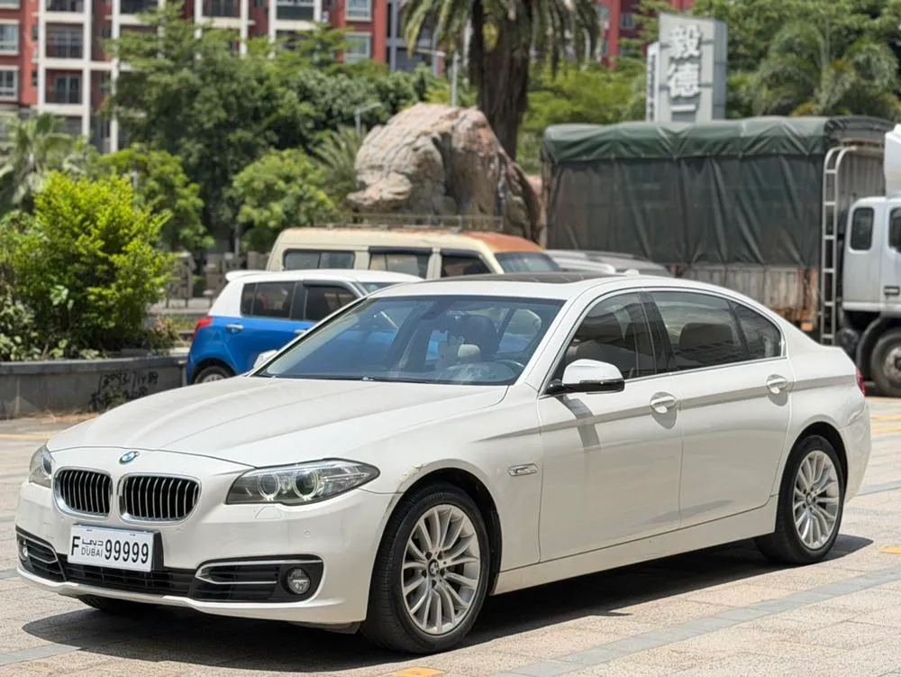 BMW 5-Series, 2014