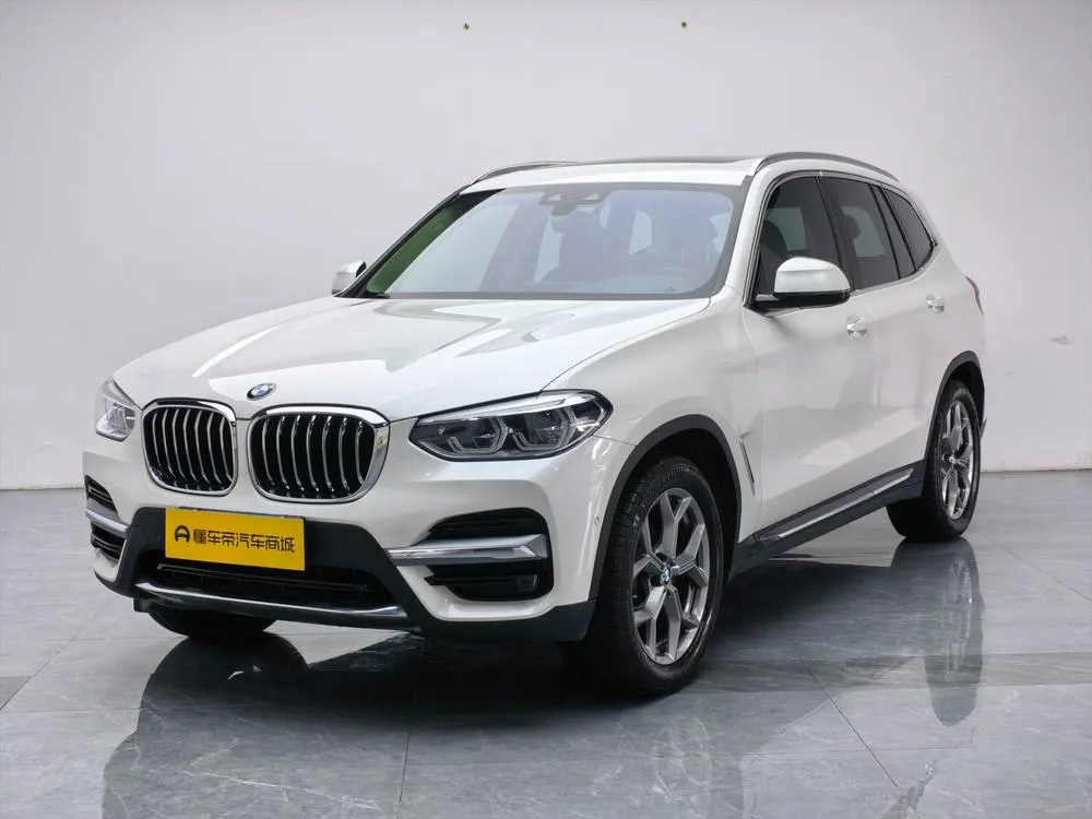 BMW X3 xDrive28i Luxury, 2020 — фото 1