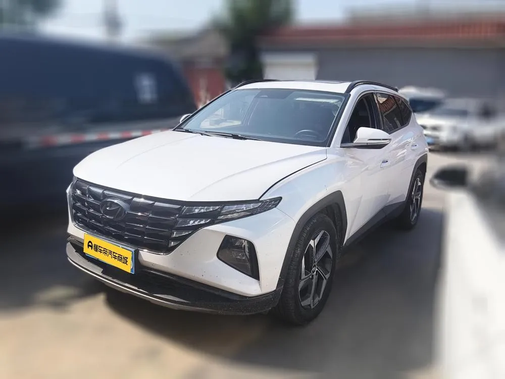 Hyundai Tucson L 1.5T LUX 2WD Premium Edition, 2023 — фото 1