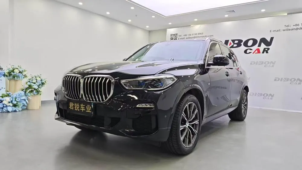 BMW X5 (Import), 2019