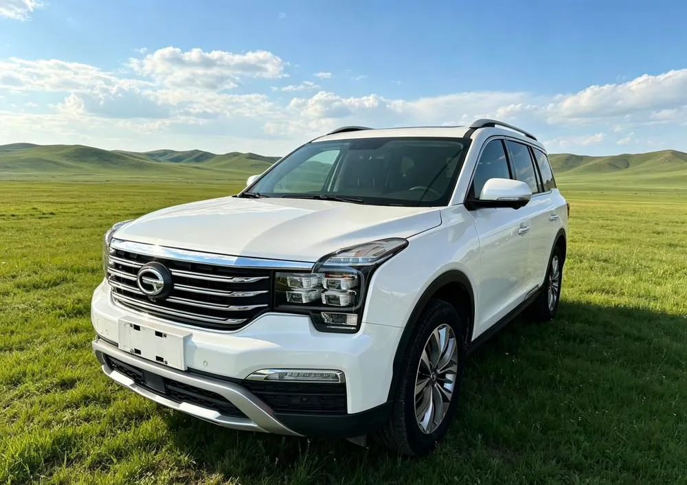 GAC Trumpchi Trumpchi GS8 320T 2WD Premium Edition 7 Seater, 2017 — фото 1