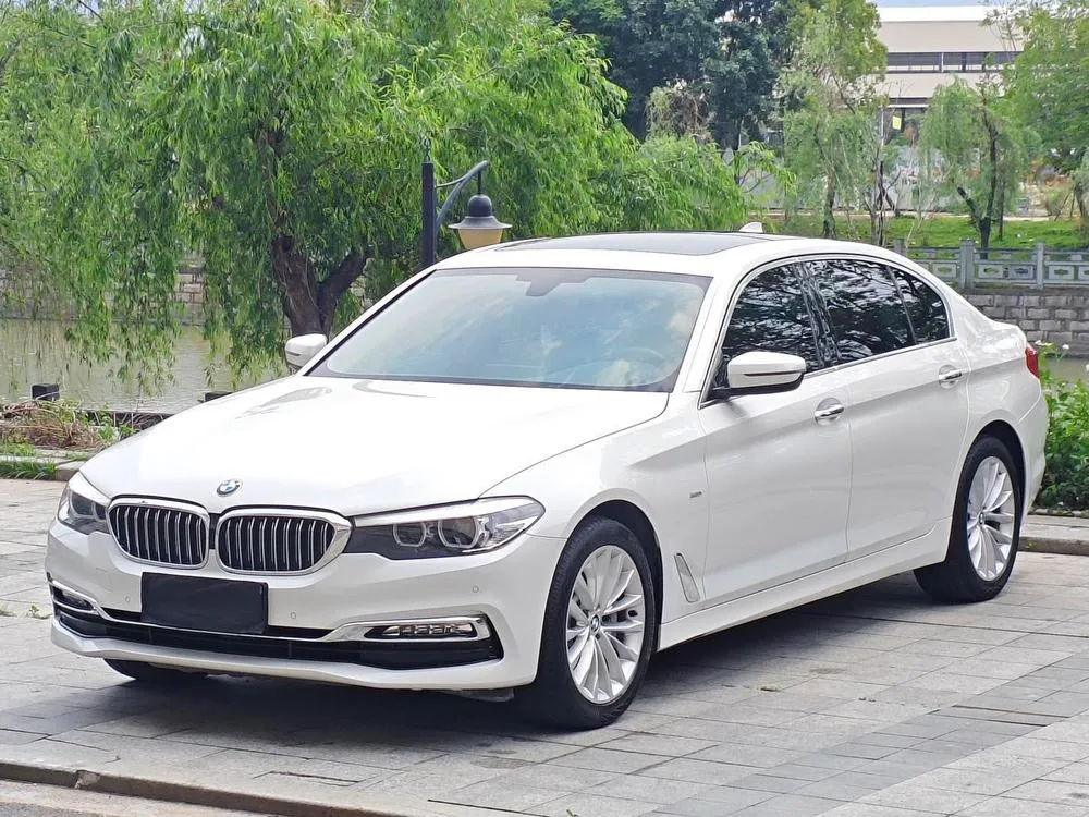 BMW 5-Series 530Li Leading Version Luxury, 2018 — фото 1