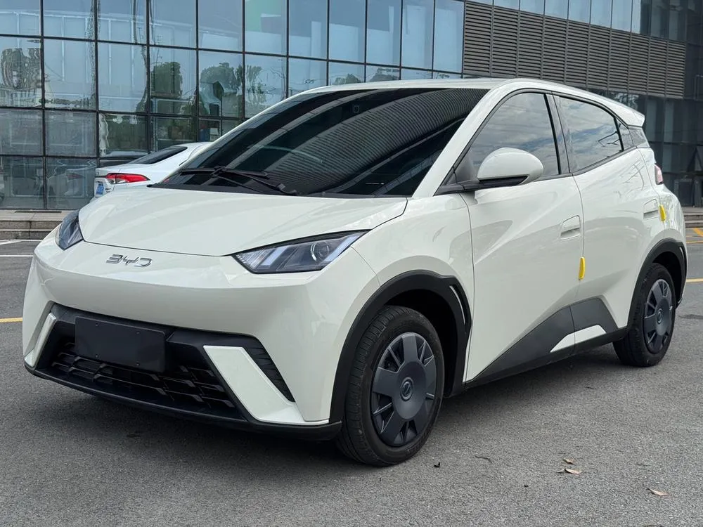 BYD Seagull, 2024