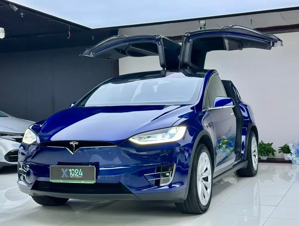 Tesla Model X Long Range Edition, 2019 — фото 1