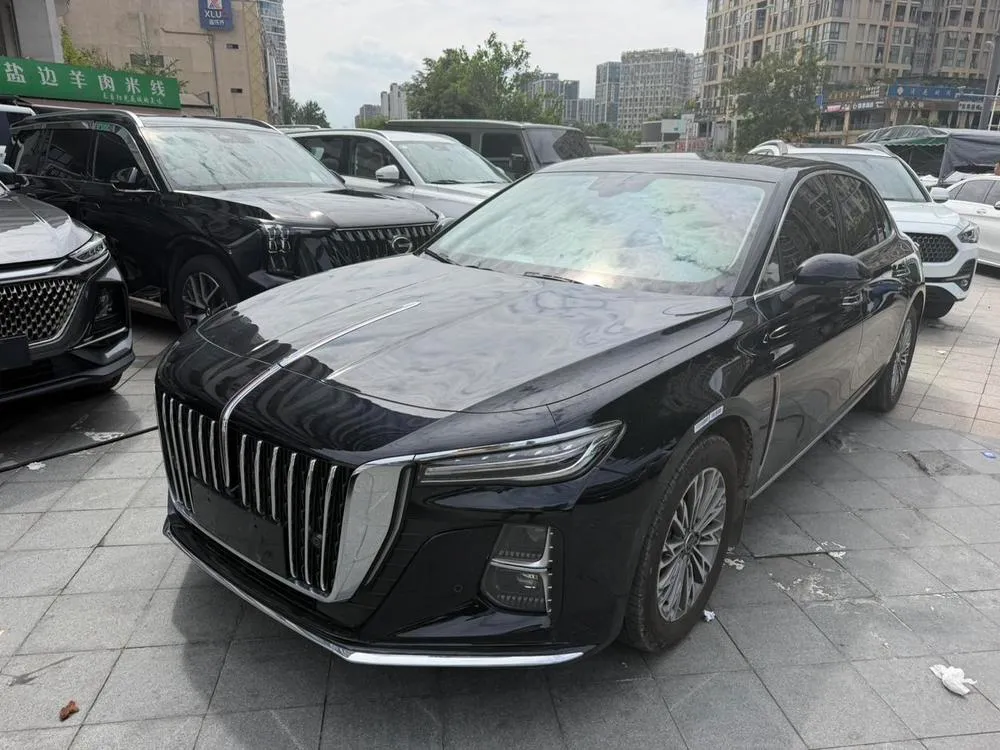 Hongqi H5, 2025