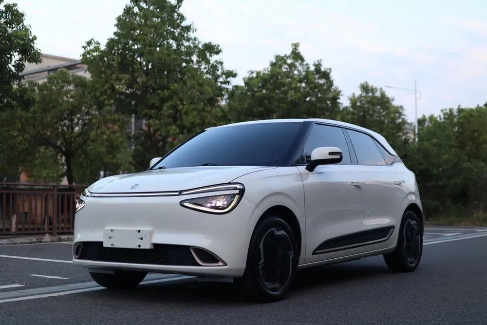 Dongfeng Yipai Nami 01, 2024