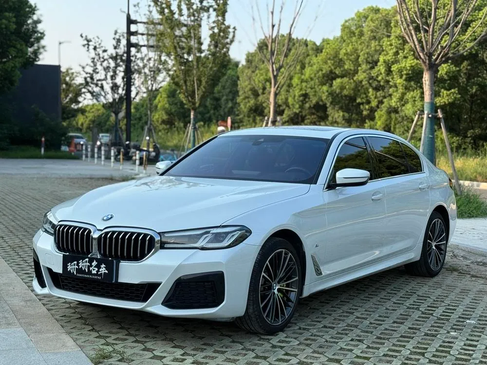 BMW 5-Series 530Li Leading Version M Sport, 2023 — фото 1