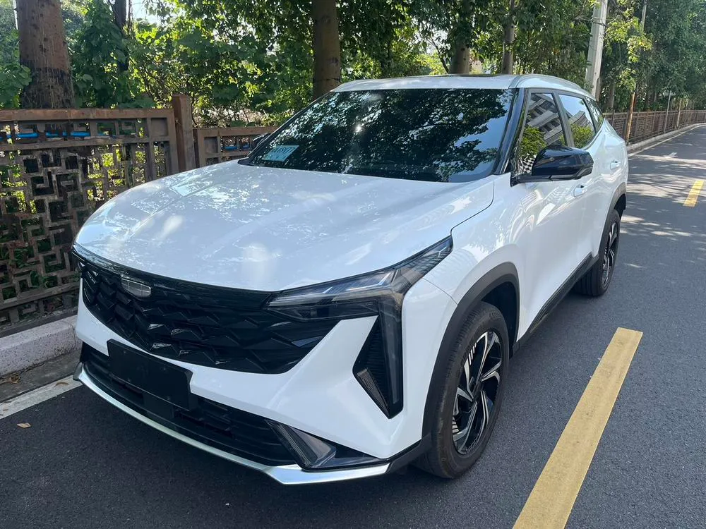 Geely Boyue, 2024