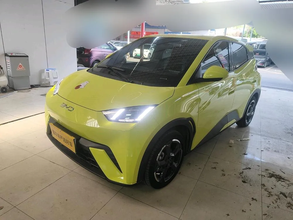 BYD Seagull, 2024