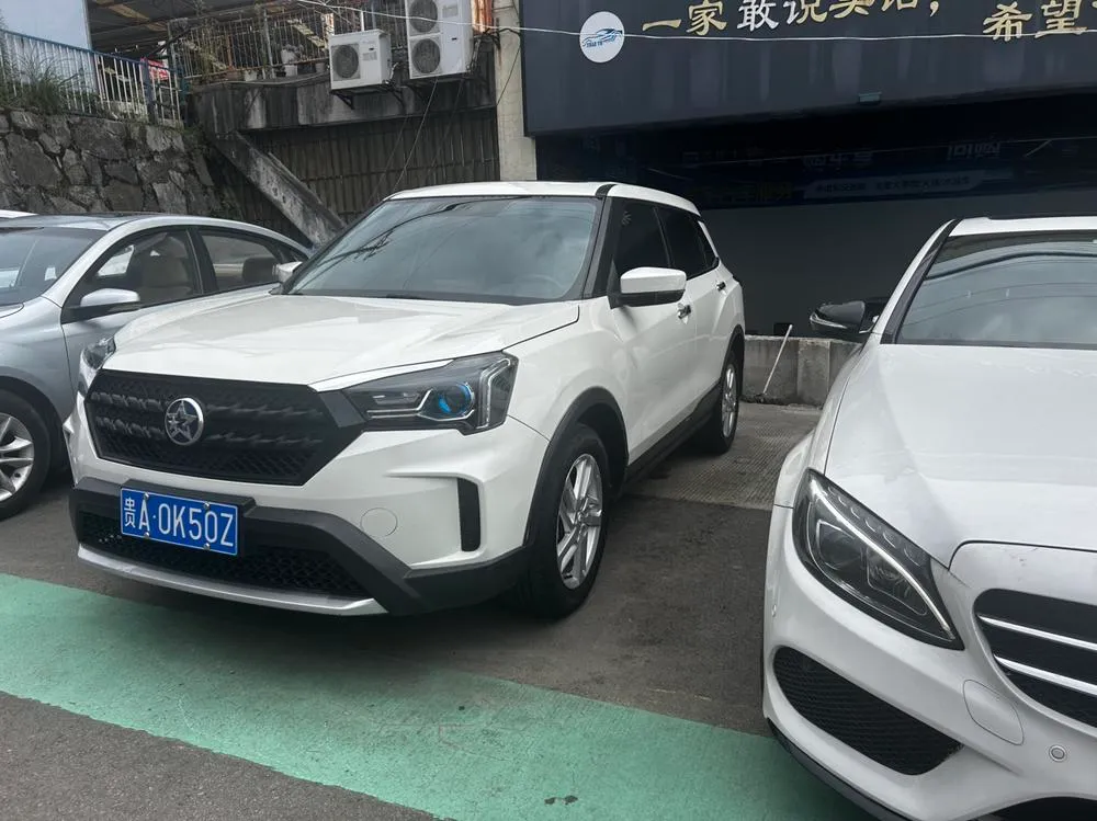 Venucia T60, 2020