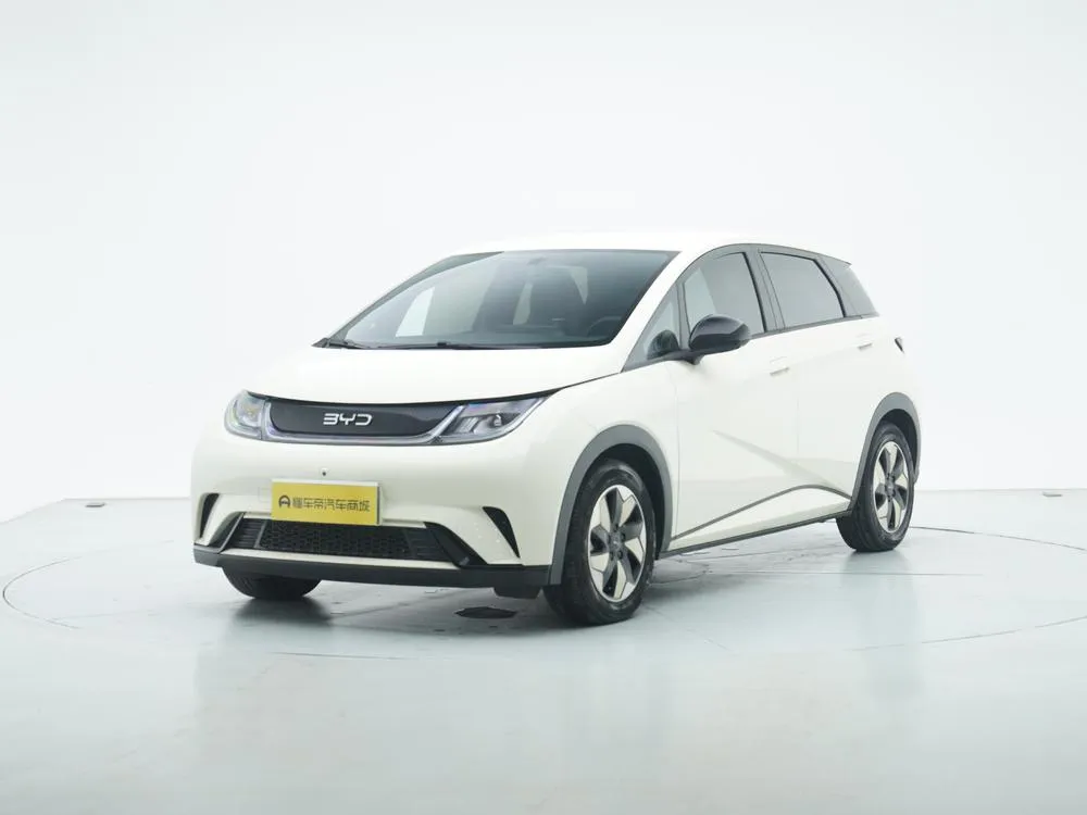 BYD Dolphin Glory Edition 420km Edition, 2024 — фото 1