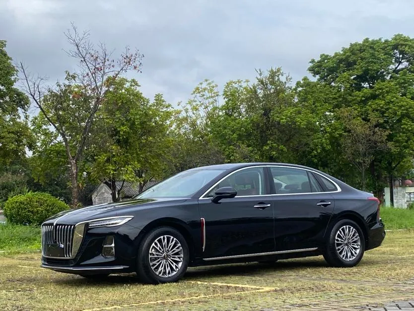 Hongqi H5, 2024