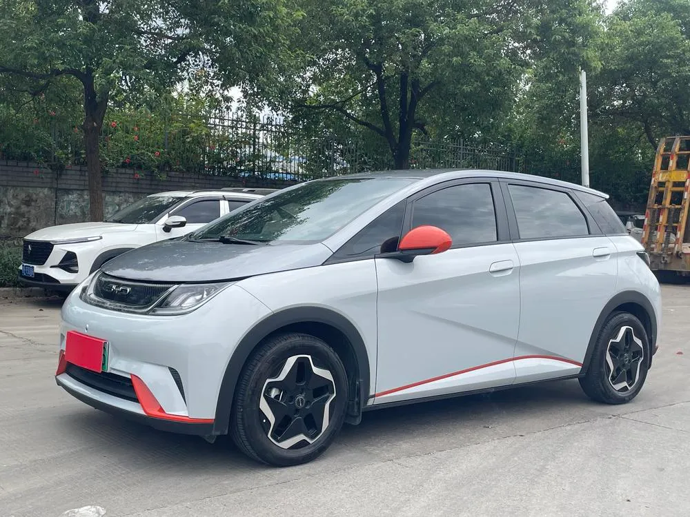 BYD Dolphin, 2021