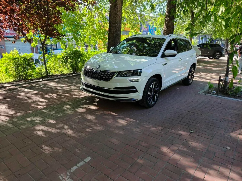 Skoda Karoq TSI280 Luxury Edition, 2021 — фото 1