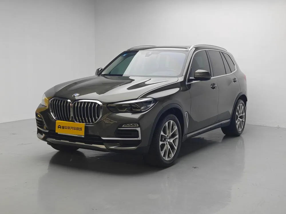 BMW X5 (Import) xDrive30i X, 2019 — фото 1