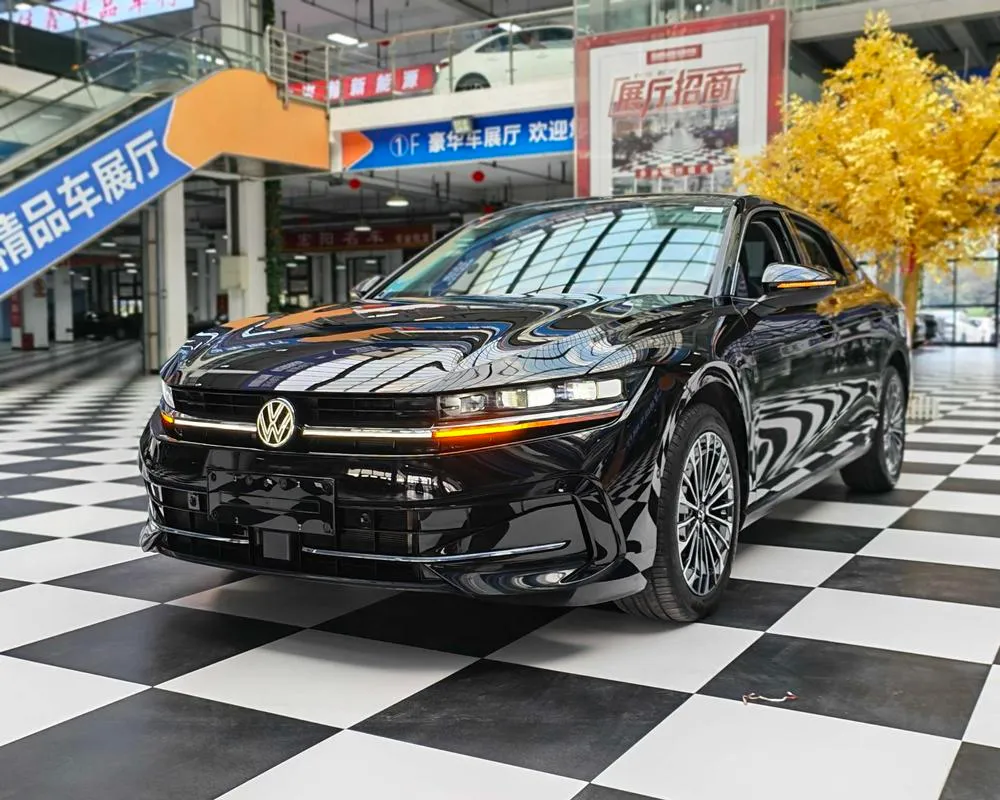 Volkswagen Magotan 380TSI Premium Edition, 2024 — фото 1