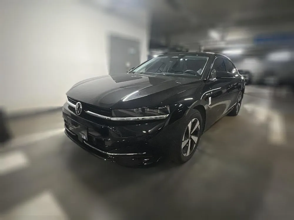 Volkswagen Magotan, 2024