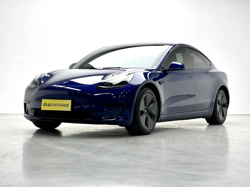Tesla Model 3 Standard Range RWD Upgraded Edition 3D1, 2021 — фото 1