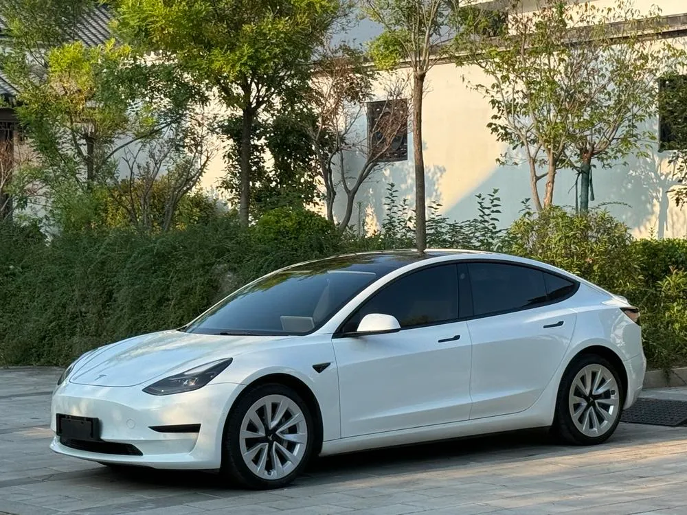 Tesla Model 3 Standard Range RWD Upgraded Edition, 2021 — фото 1
