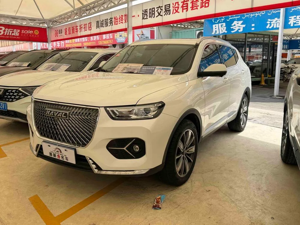 Haval H6 1.5GDIT Auto Gold Champion Edition, 2020 — фото 1