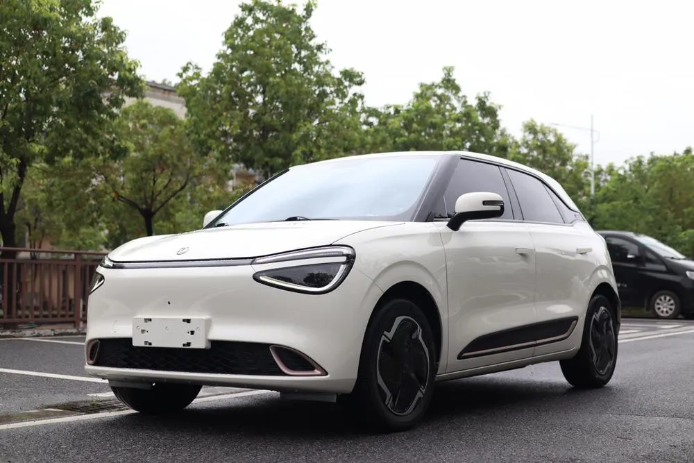 Dongfeng Yipai Nami 01, 2024