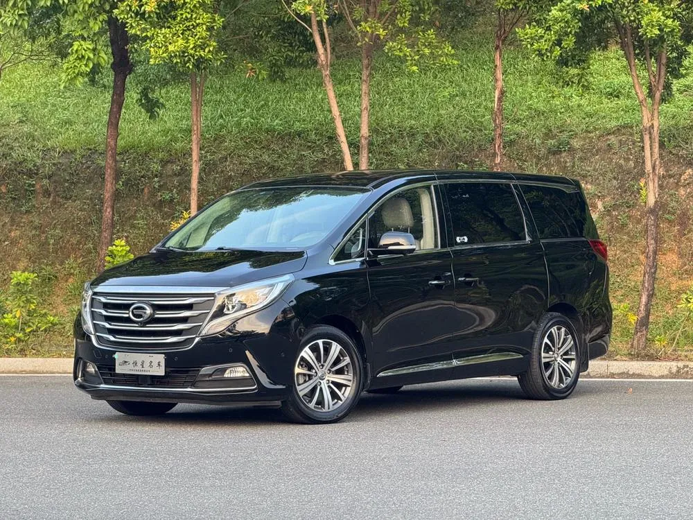 GAC Trumpchi Trumpchi M8 320T Flagship Edition, 2018 — фото 1