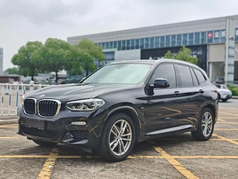 BMW X3 xDrive30i Leading Version M Sport CN6, 2018 — фото 1