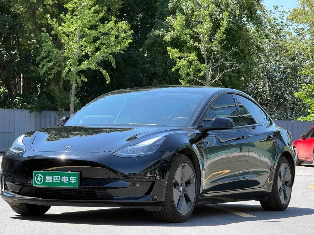 Tesla Model 3 Standard Range RWD Upgraded Edition, 2021 — фото 1