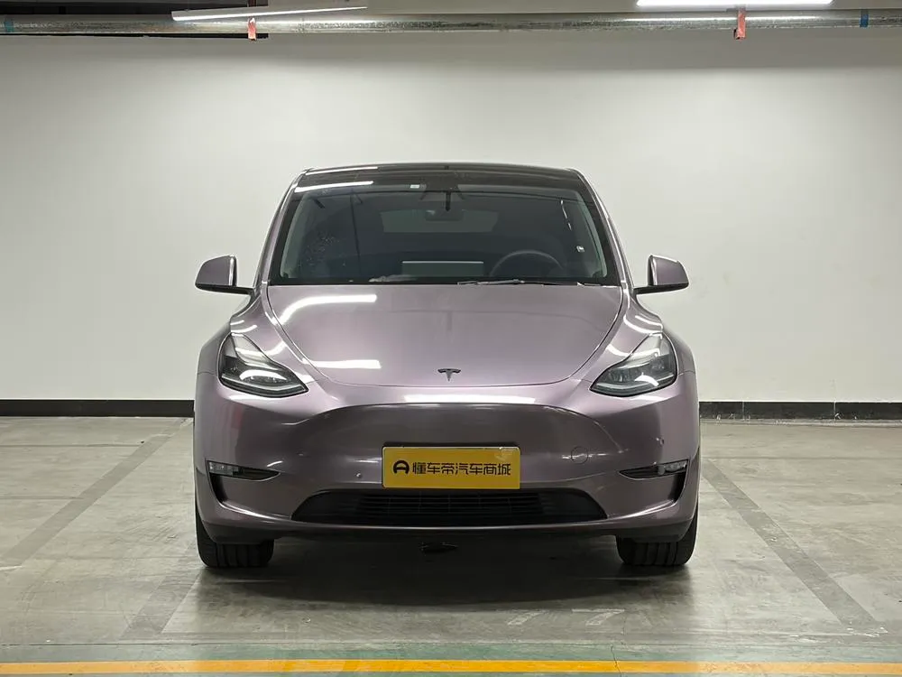 Tesla Model Y Standard Range Edition, 2021 — фото 1