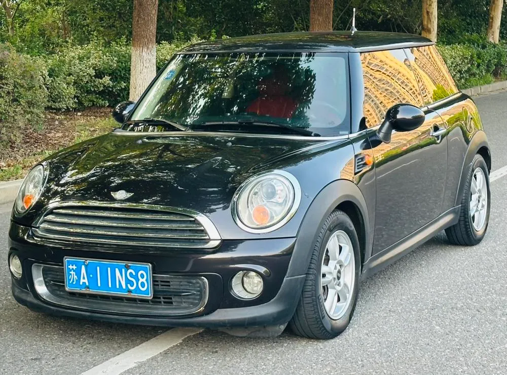 MINI MINI, 2013