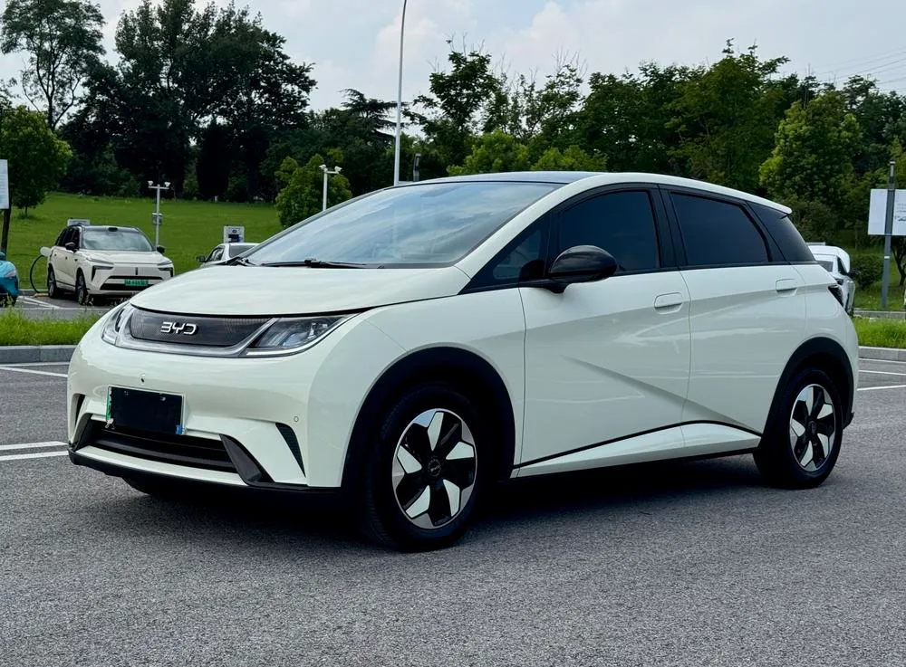 BYD Dolphin, 2024