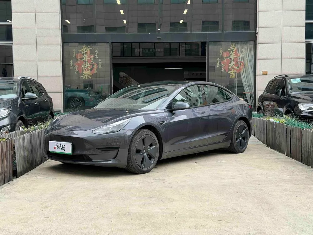 Tesla Model 3, 2021