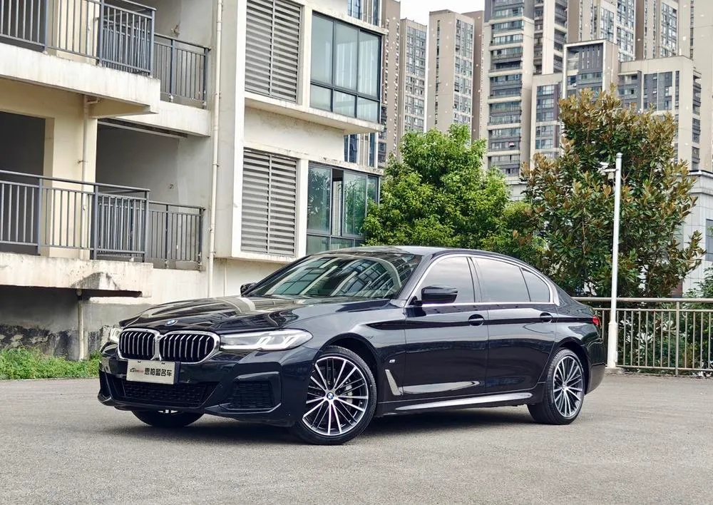 BMW 5-Series 530Li Leading Version M Sport, 2023 — фото 1