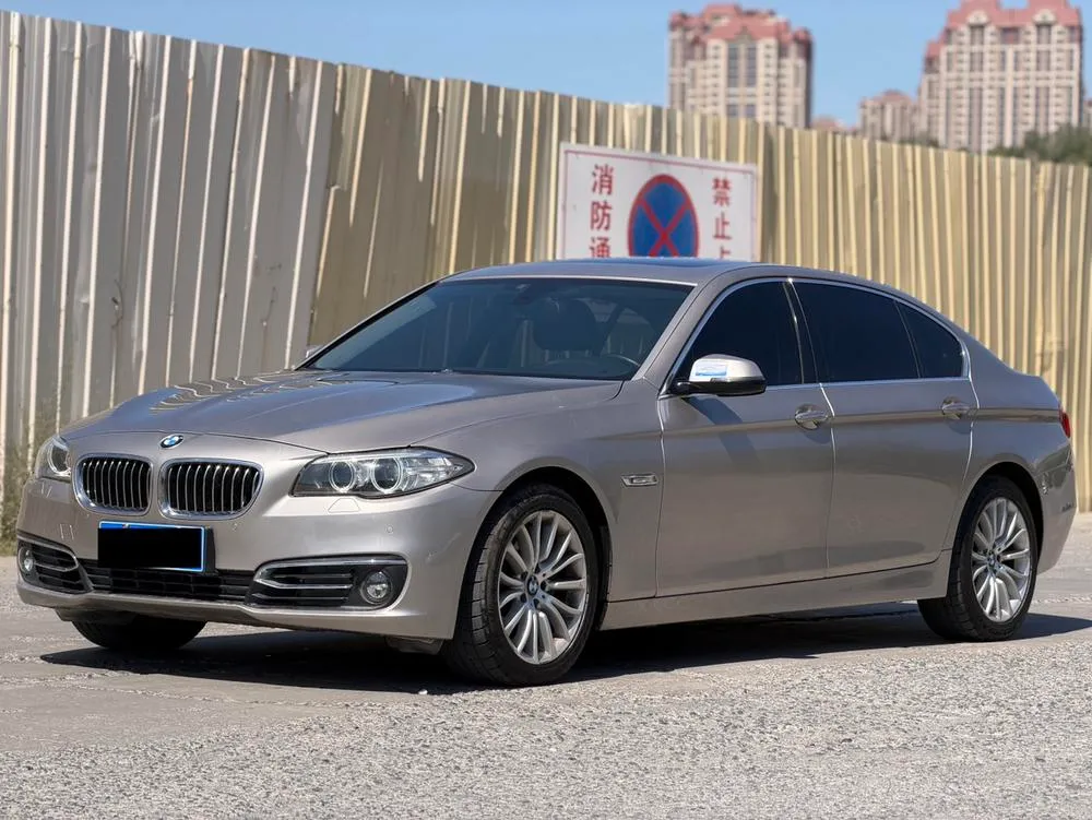 BMW 5-Series 525Li Luxury, 2014 — фото 1