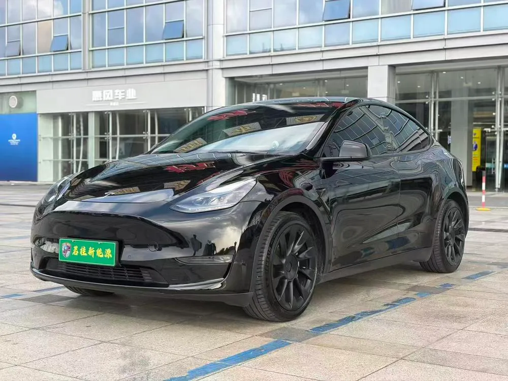 Tesla Model Y Standard Range Edition, 2021 — фото 1