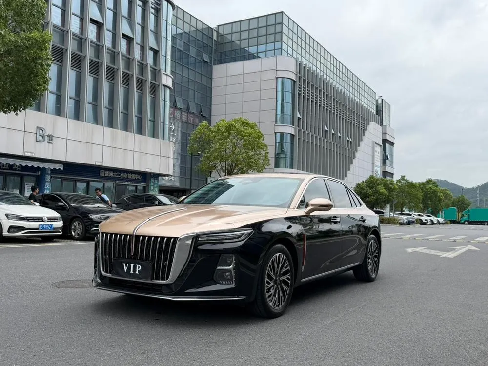 Hongqi H5, 2024