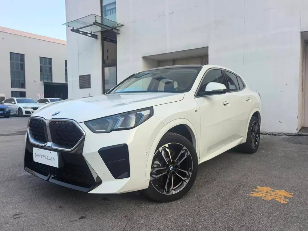 BMW X2 (Import) sDrive25i M Sport, 2024 — фото 1