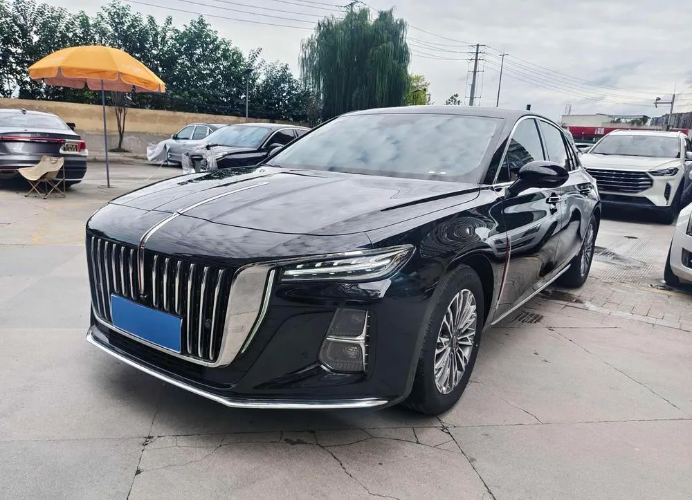 Hongqi H5, 2024