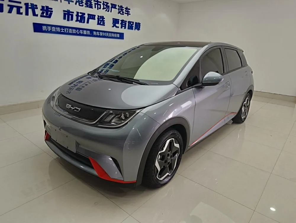 BYD Dolphin, 2021
