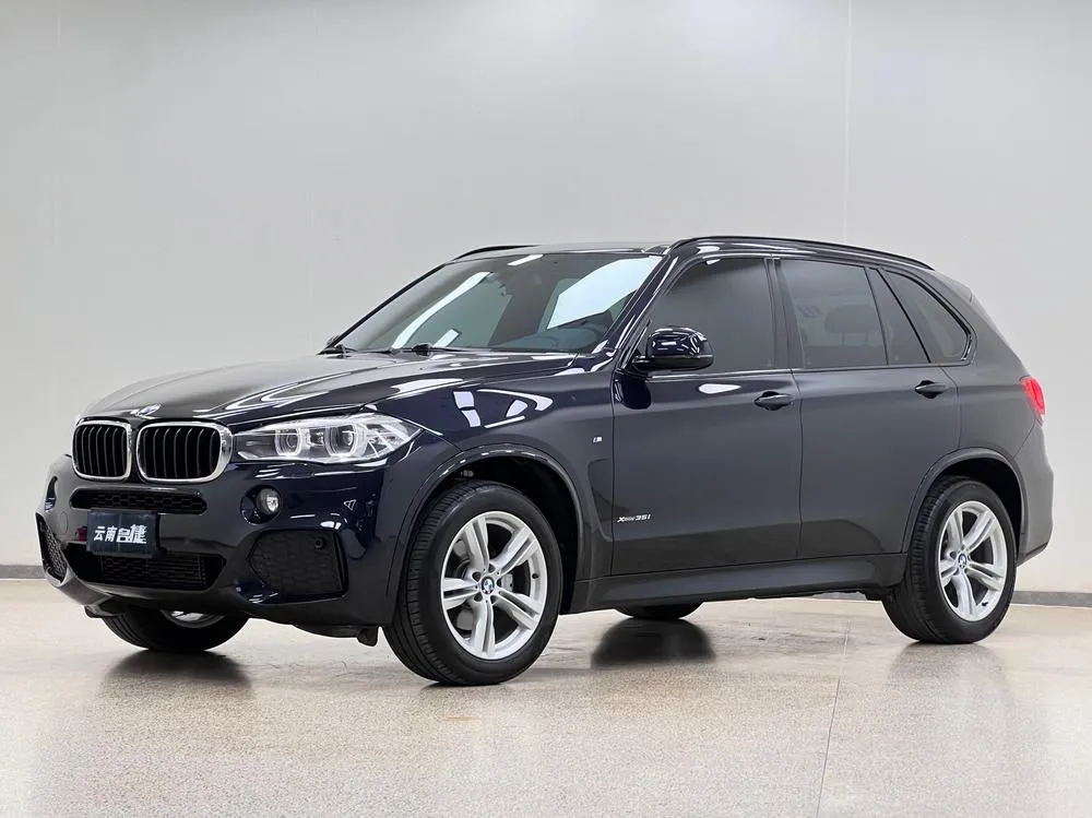 BMW X5 (Import) 3.0T Auto 4WD 5 Seater Parallel Import, 2017 — фото 1