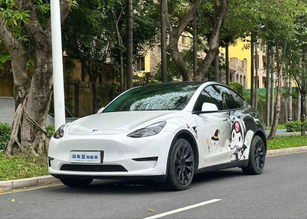 Tesla Model Y, 2024