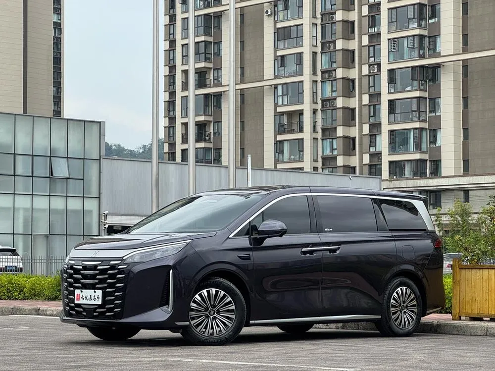 BYD Xia, 2025