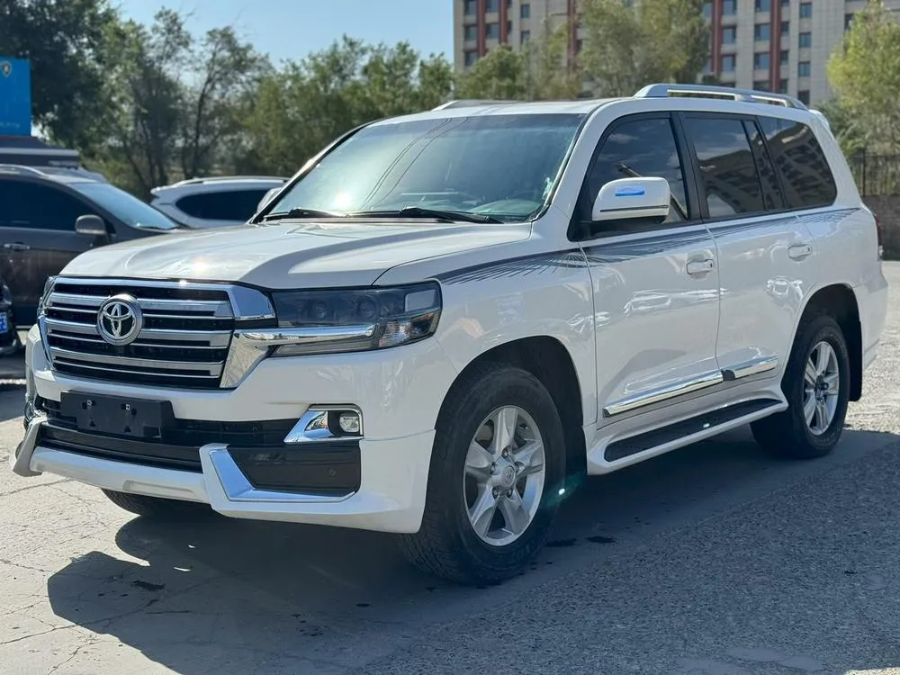 Toyota Land Cruiser, 2010