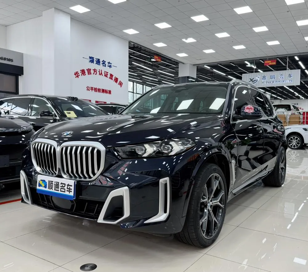 BMW X5 xDrive30Li Prestige Version M Sport, 2023 — фото 1